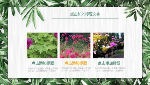 绿色环保慈善公益通用PPT模板