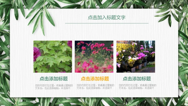 绿色环保慈善公益通用PPT模板