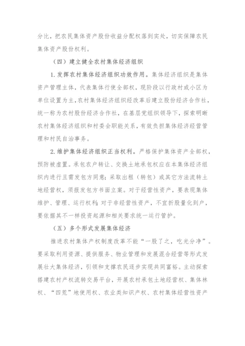 村农村集体产权核心制度改革实施专业方案.docx