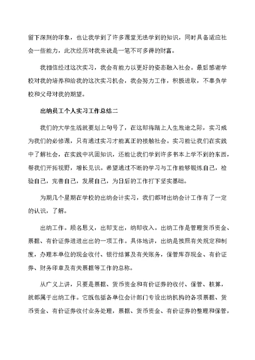 出纳员工个人实习工作总结优秀范文