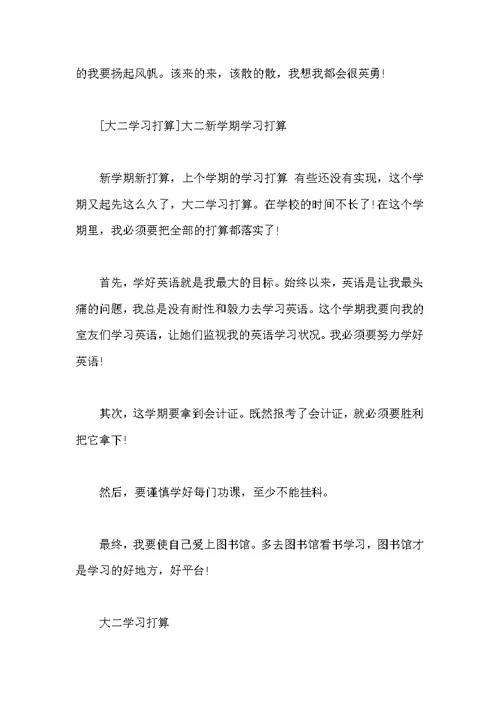 大二新学期学习计划