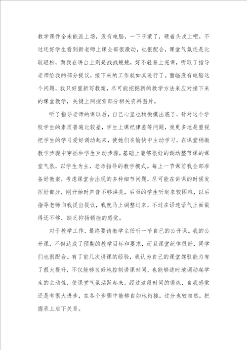 美术老师实习个人总结