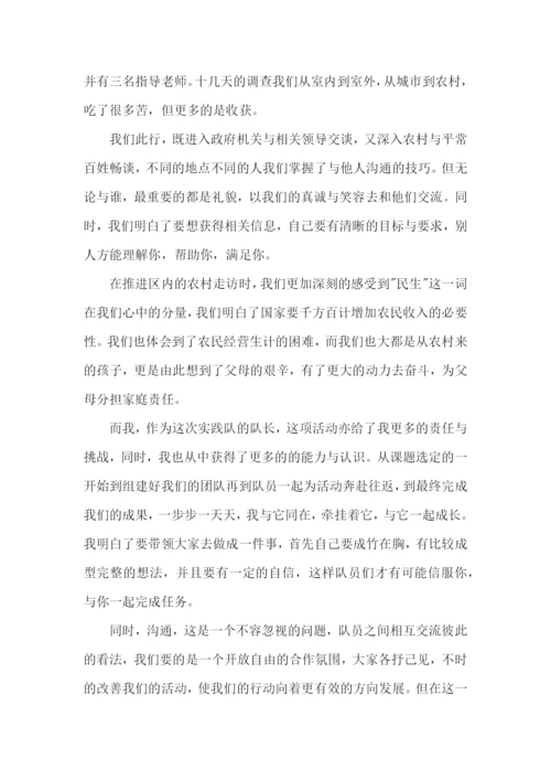 假期实践报告个人总结.docx