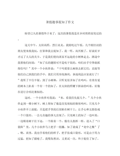 暑假趣事捉知了作文