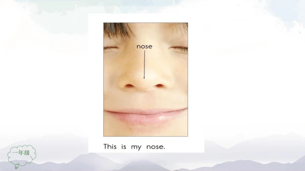 Unit 2 Face Lesson 3 课件共32张PPT)