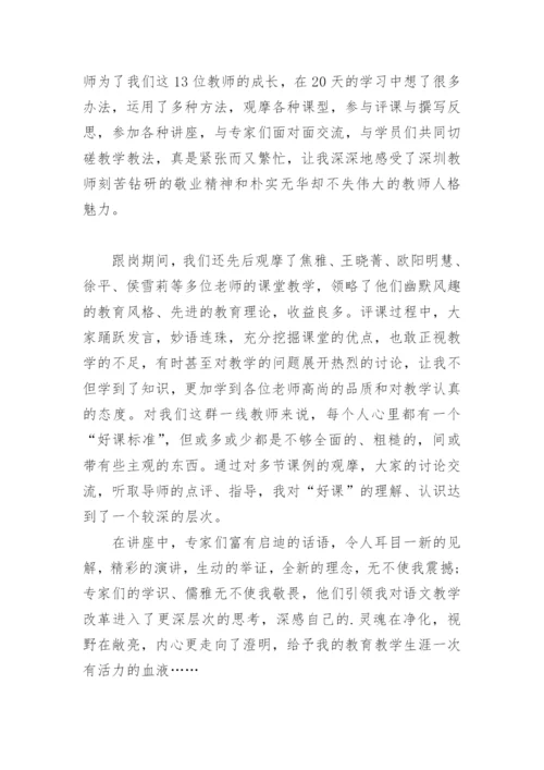 教师跟岗学习个人总结.docx