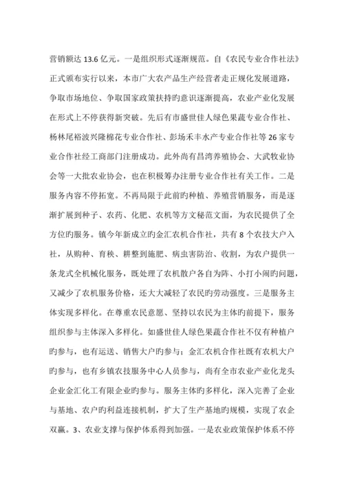 新农村社会化服务体系调研报告.docx