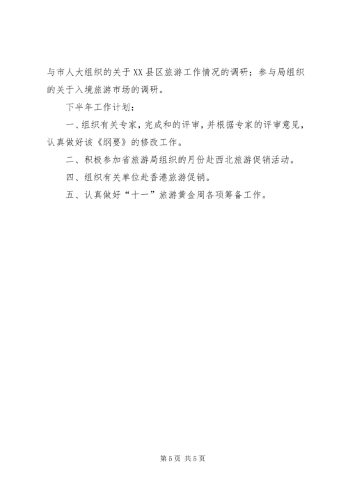 市旅游局上半年工作总结和下半年工作计划 (4).docx