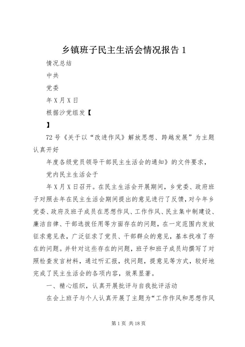 乡镇班子民主生活会情况报告1.docx