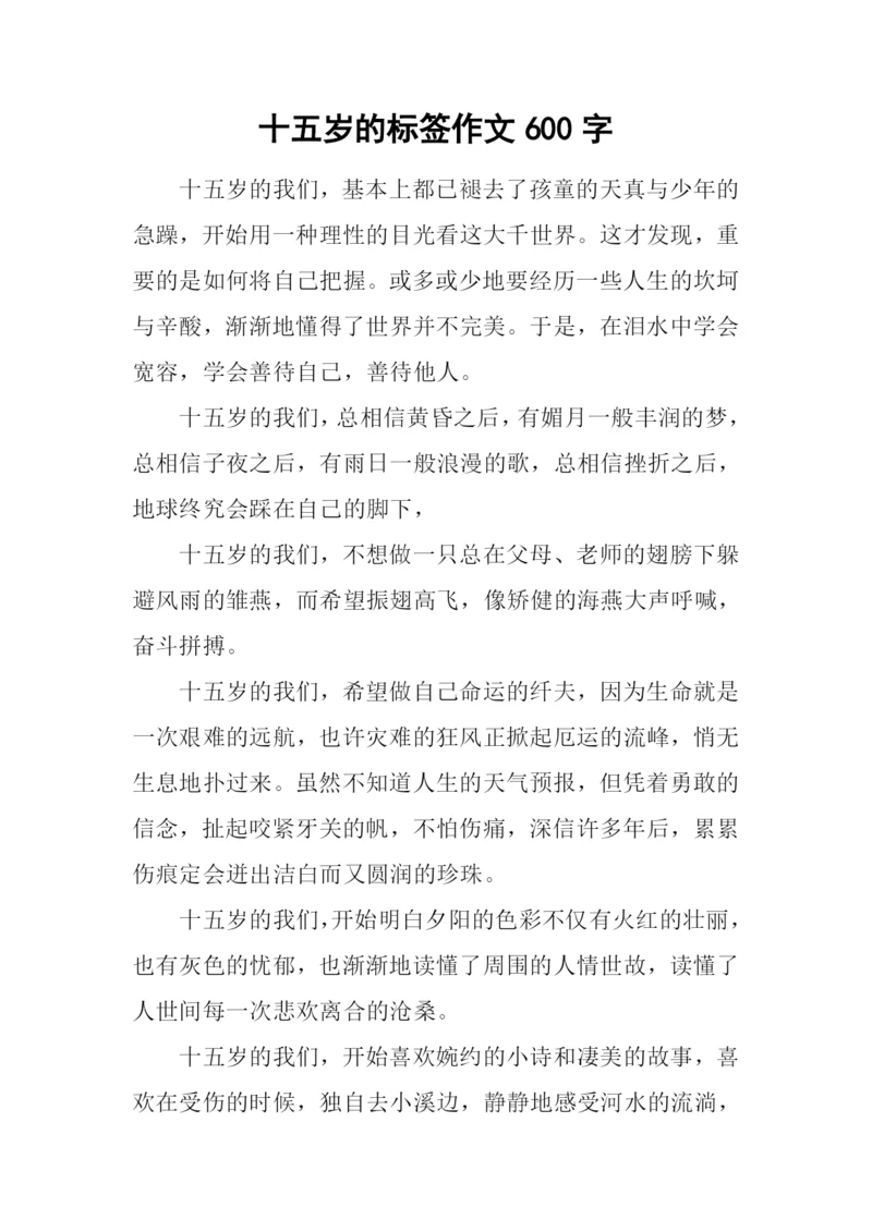 十五岁的标签作文600字.docx