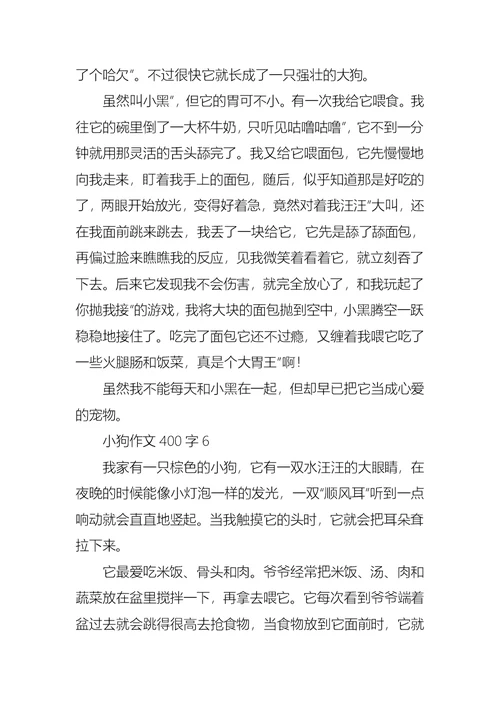 小狗作文400字
