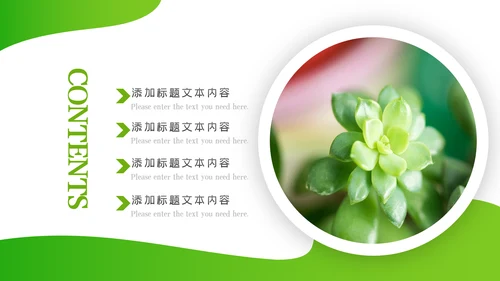 唯美绿色植物发芽植物生长敬畏生命PPT模板