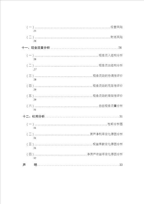 2019年全新好公司财务分析总结性研究报告