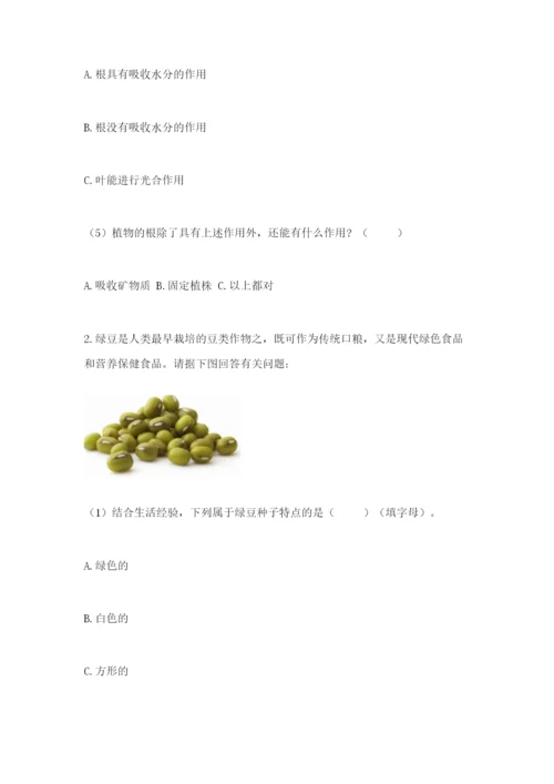 科学四年级下册第一单元植物的生长变化测试卷一套.docx