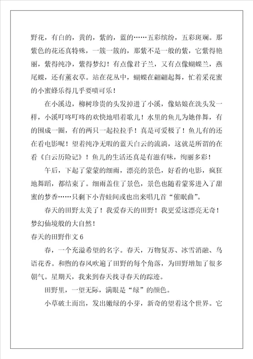 春天的田野作文12篇