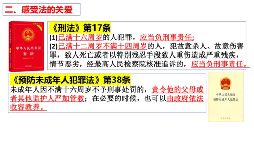 【新课标】10.1 法律为我们护航课件【2024春新教材】（26张ppt）