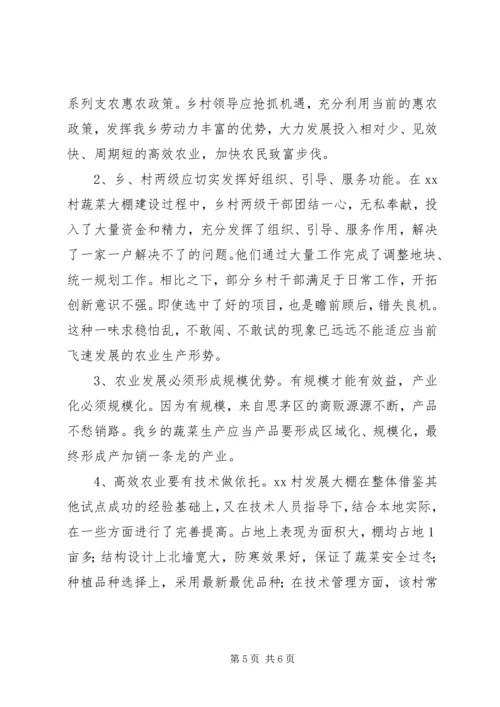 大棚蔬菜种植调研报告 (2).docx