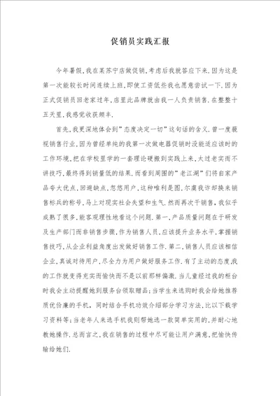 2021年促销员实践汇报