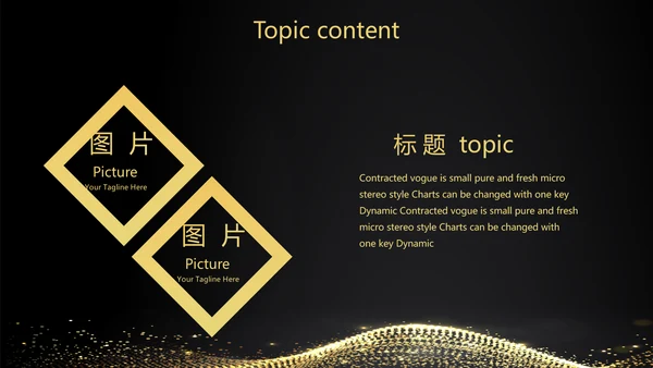 黑色霸气金融投资理财行业通用PPT动态模板