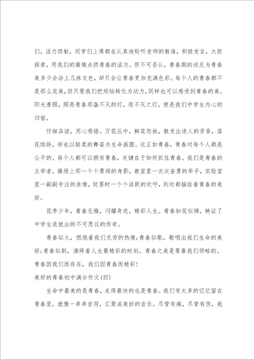 美好的青春初中满分作文精选10篇