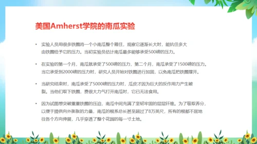 不负青春绽放光芒励志班会通用PPT模板