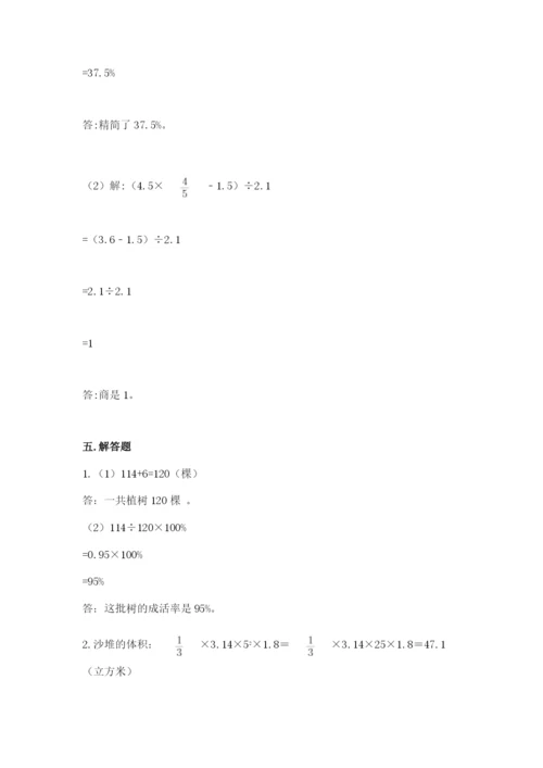 北京版六年级下册数学期中测试卷精品带答案.docx