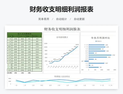 财务收支明细利润报表