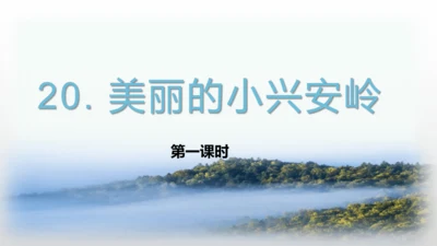 20.美丽的小兴安岭   课件