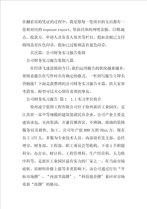2023年件技术服务公司财务实习报告