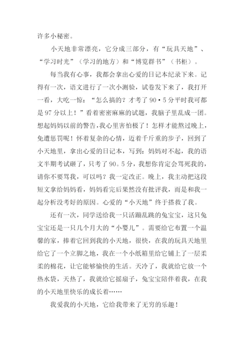 我的小天地作文600字.docx