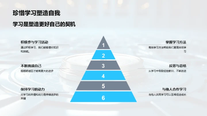 学习之旅：探索与收获