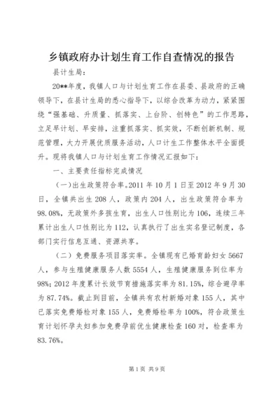 乡镇政府办计划生育工作自查情况的报告.docx