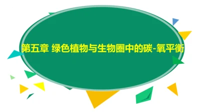 3.5.1 光合作用吸收二氧化碳释放氧气2023-2024学年七年级生物上册精品教学课件（人教版）(