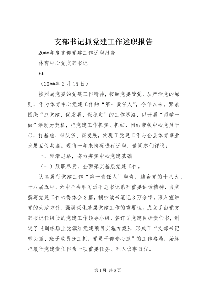 支部书记抓党建工作述职报告.docx