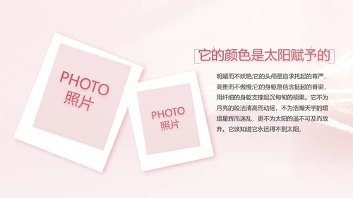 生日快乐生日派对纪念册电子相册PPT