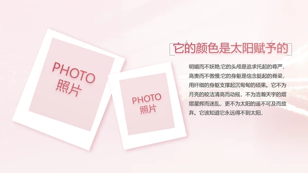 生日快乐生日派对纪念册电子相册PPT
