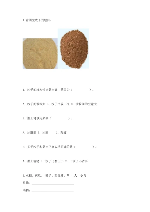 苏教版一年级下册科学期末测试卷含答案（综合卷）.docx