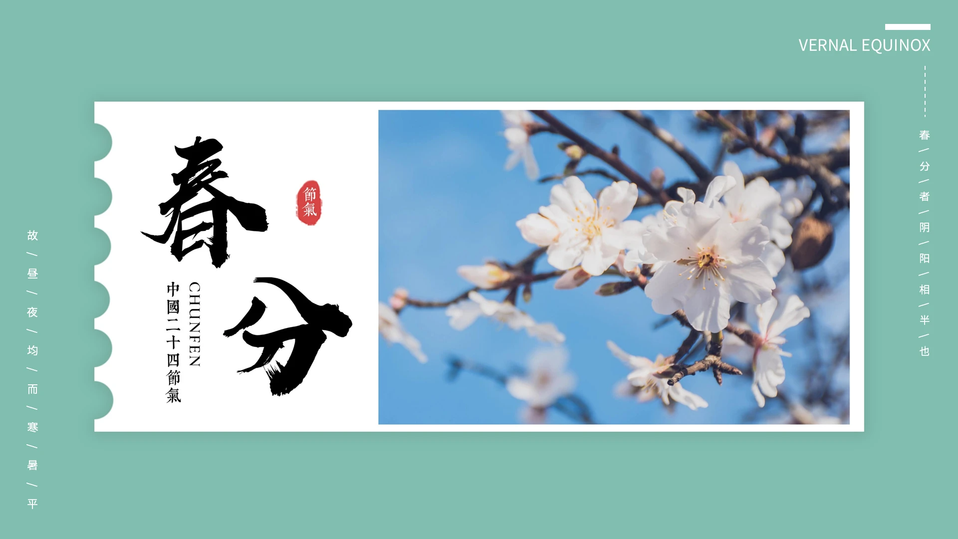 绿色清新春分节气介绍PPT模板宣传PPT动态PPT