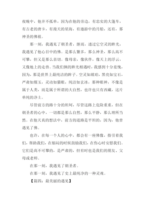 美丽的遇见作文.docx