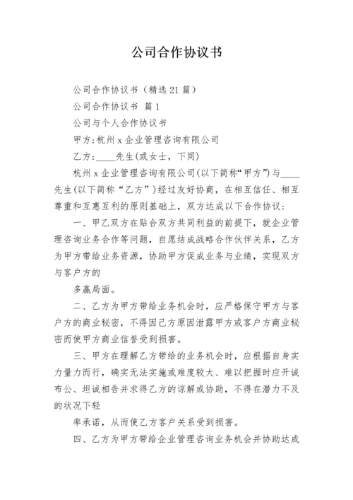 公司合作协议书.docx