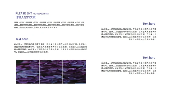 紫色小清新文艺教学教育PPT模板