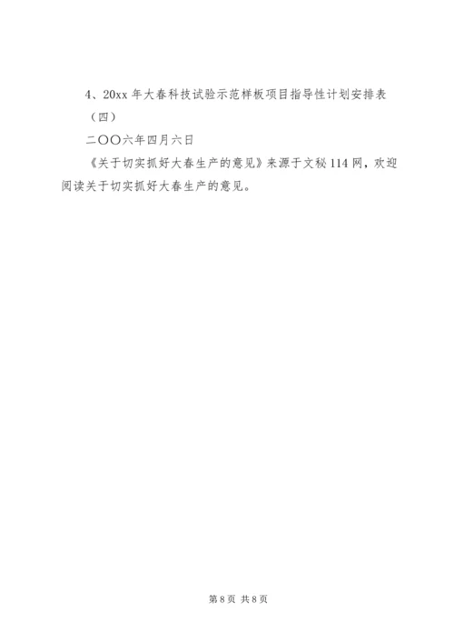 关于切实抓好大春生产的意见.docx