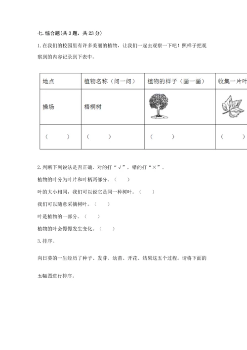 教科版科学一年级上册第一单元《植物》测试卷及参考答案（精练）.docx