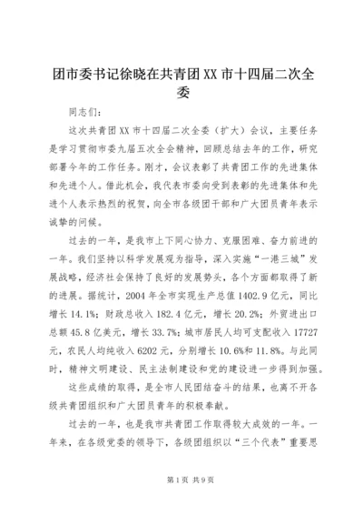 团市委书记徐晓在共青团XX市十四届二次全委 (2).docx