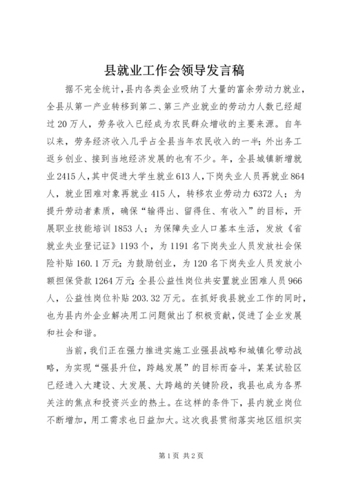 县就业工作会领导发言稿精编.docx