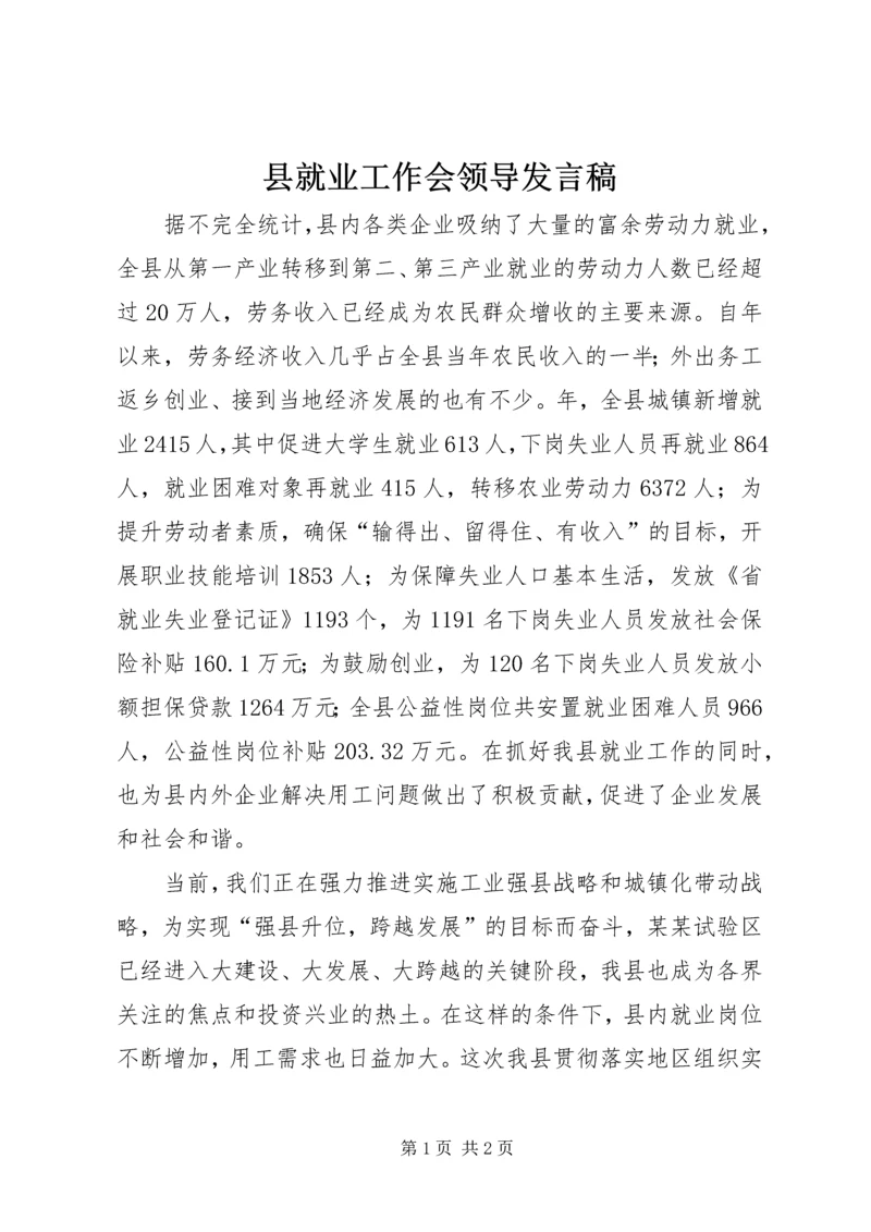 县就业工作会领导发言稿精编.docx