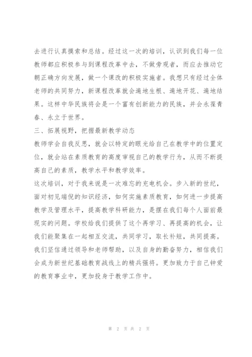 教师新课标个人培训总结.docx