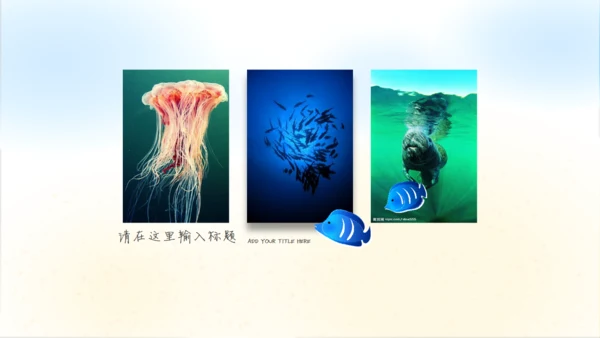 我们的海洋儿童风格通用PPT模板