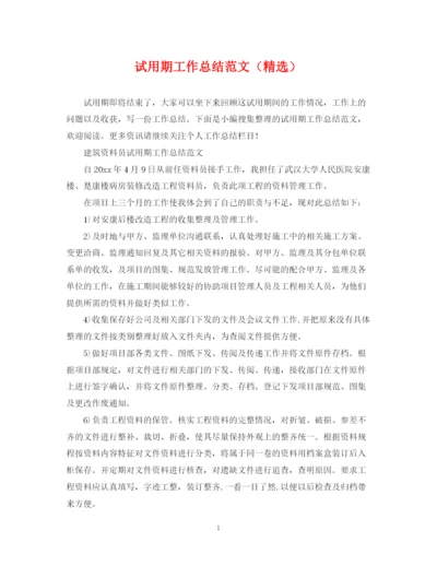 精编之试用期工作总结范文（精选）.docx