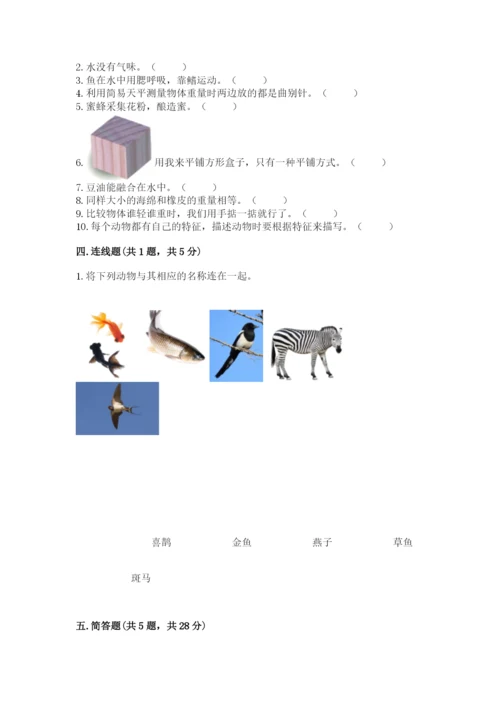 教科版一年级下册科学期末测试卷及参考答案（综合卷）.docx